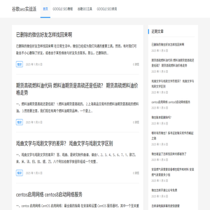 谷歌seo实战派