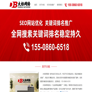 大标网络丨专业SEO优化公司