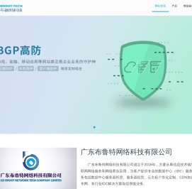 广东布鲁特网络科技有限公司