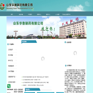 山东华鲁制药有限公司