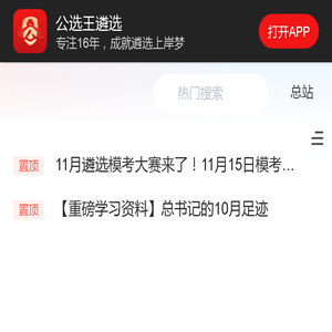 公选王遴选网