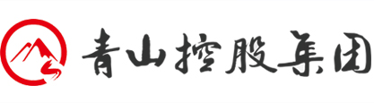 安徽青山控股集团有限公司