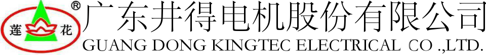 广东井得电机股份有限公司