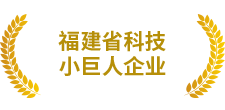 全球折叠伞制造专家与领导者